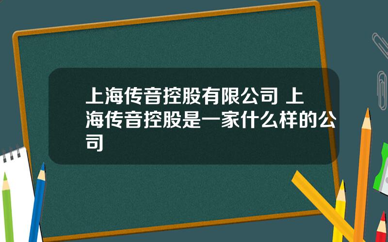 上海传音控股有限公司 上海传音控股是一家什么样的公司